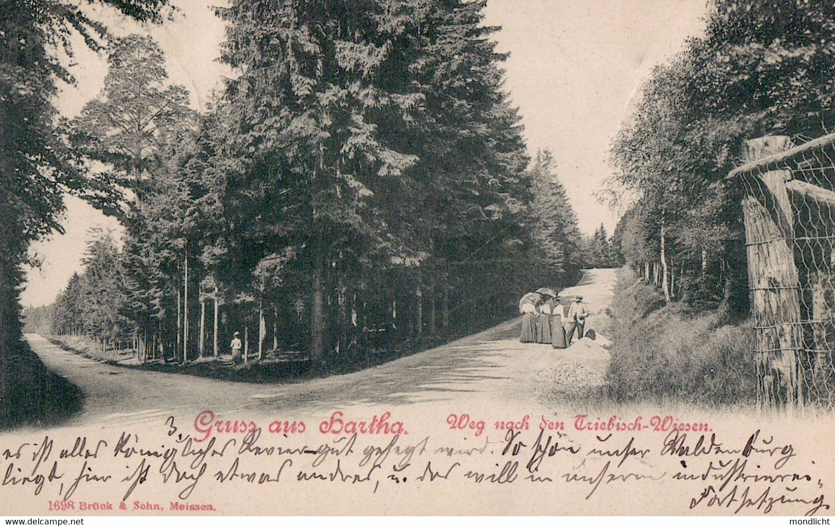 Gruss Aus Hartha. Weg Nach Den Triebisch-Wiesen. 1901. - Hartha