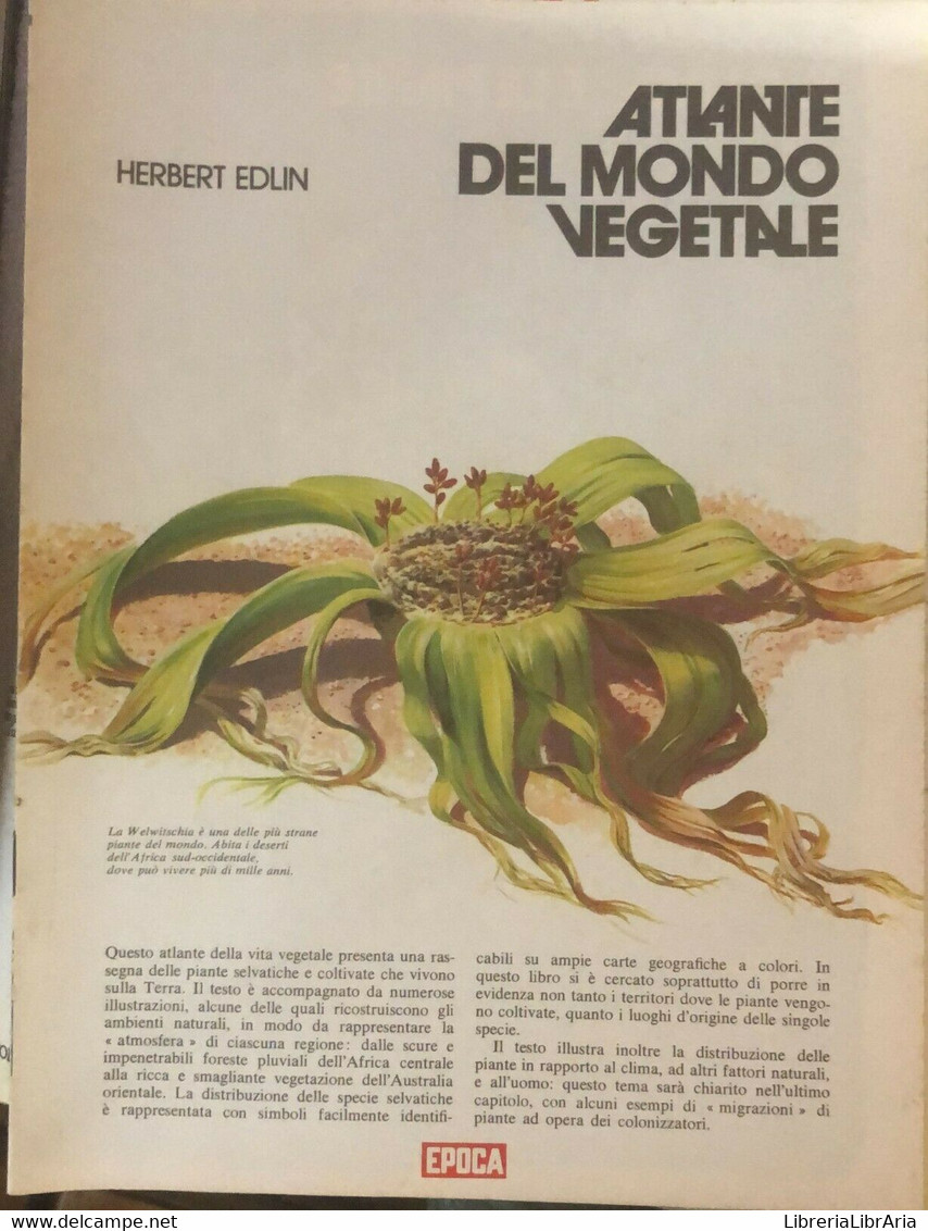Atlante Del Mondo Vegetale Di Herbert Edlin,  1973,  Epoca - Natur