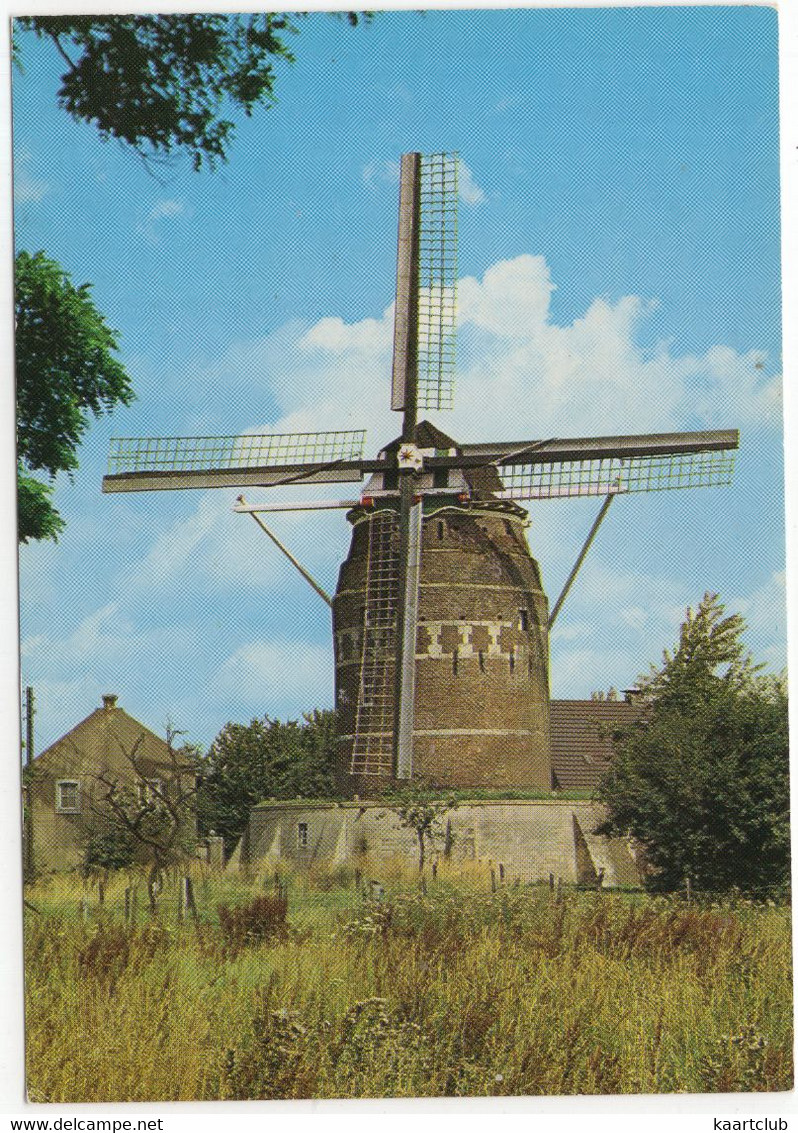 Gronsveld - Korenmolen - (Limburg, Nederland) - 506/1 - (Moulin à Vent, Mühle, Windmill, Windmolen) - Margraten