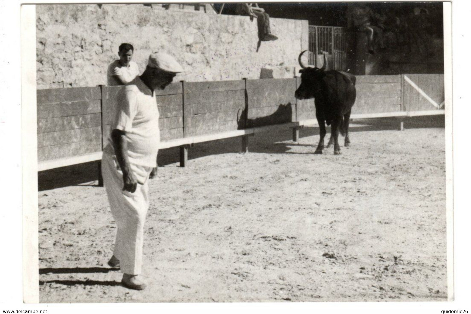 Photo Renaud Saintes Maries De La Mer , Arènes Et Manade De Taureaux Camargue à Determiner , Razeteur Rey Ecrit Au Verso - Altri & Non Classificati