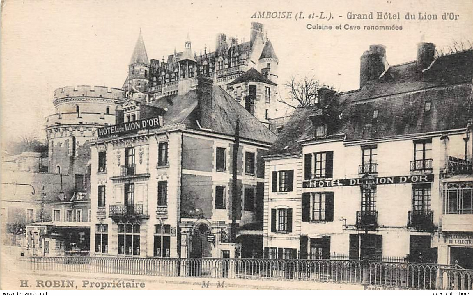 Amboise         37       Grand Hôtel Du Lion D'Or      (voir Scan) - Amboise