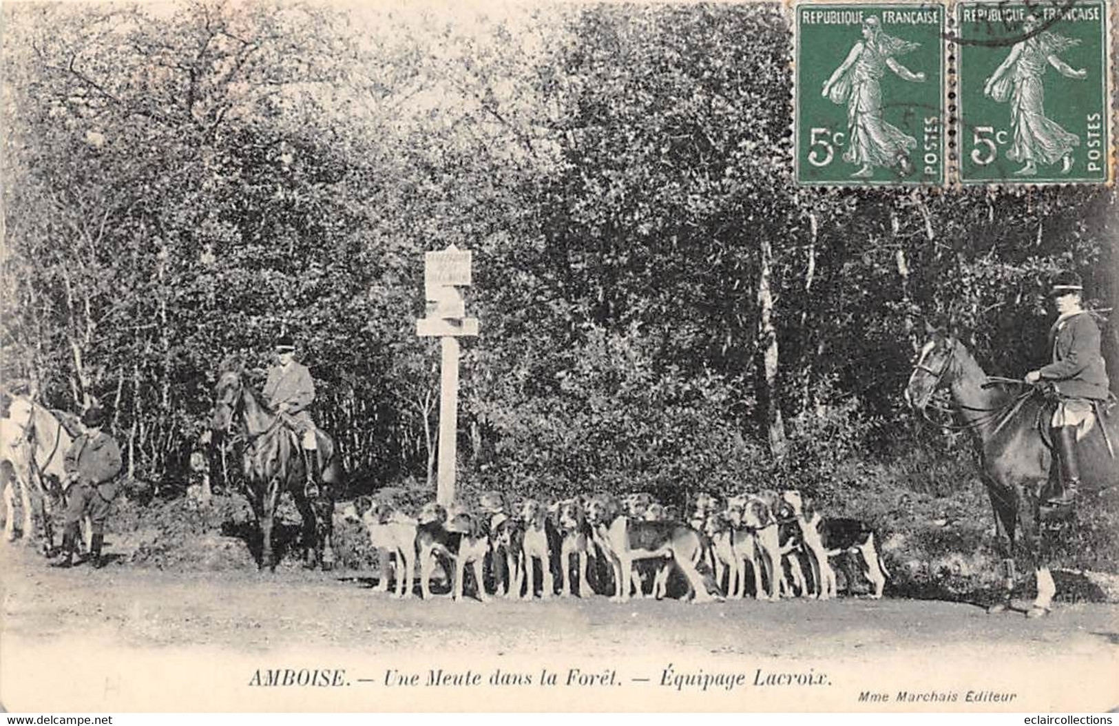 Amboise         37        Chasse à Courre. Meute Dans La Forêt . Equipage Lacroix       (voir Scan) - Amboise