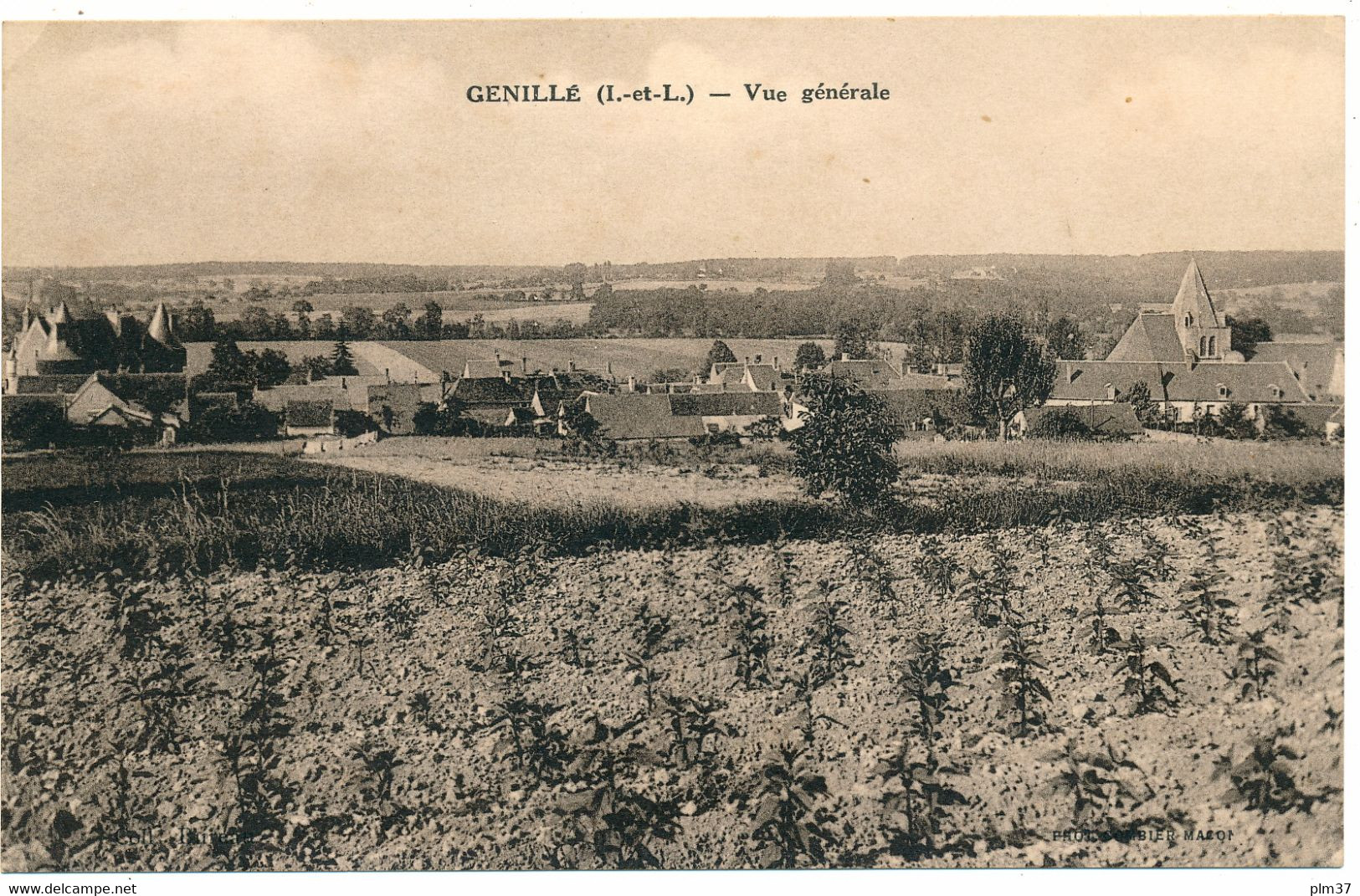 GENILLE - Vue Générale - Genillé