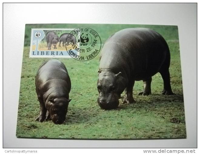 Annullo Speciale Maximum Wwf  Liberia Ippopotamo Hippopotamus - Hippopotamuses