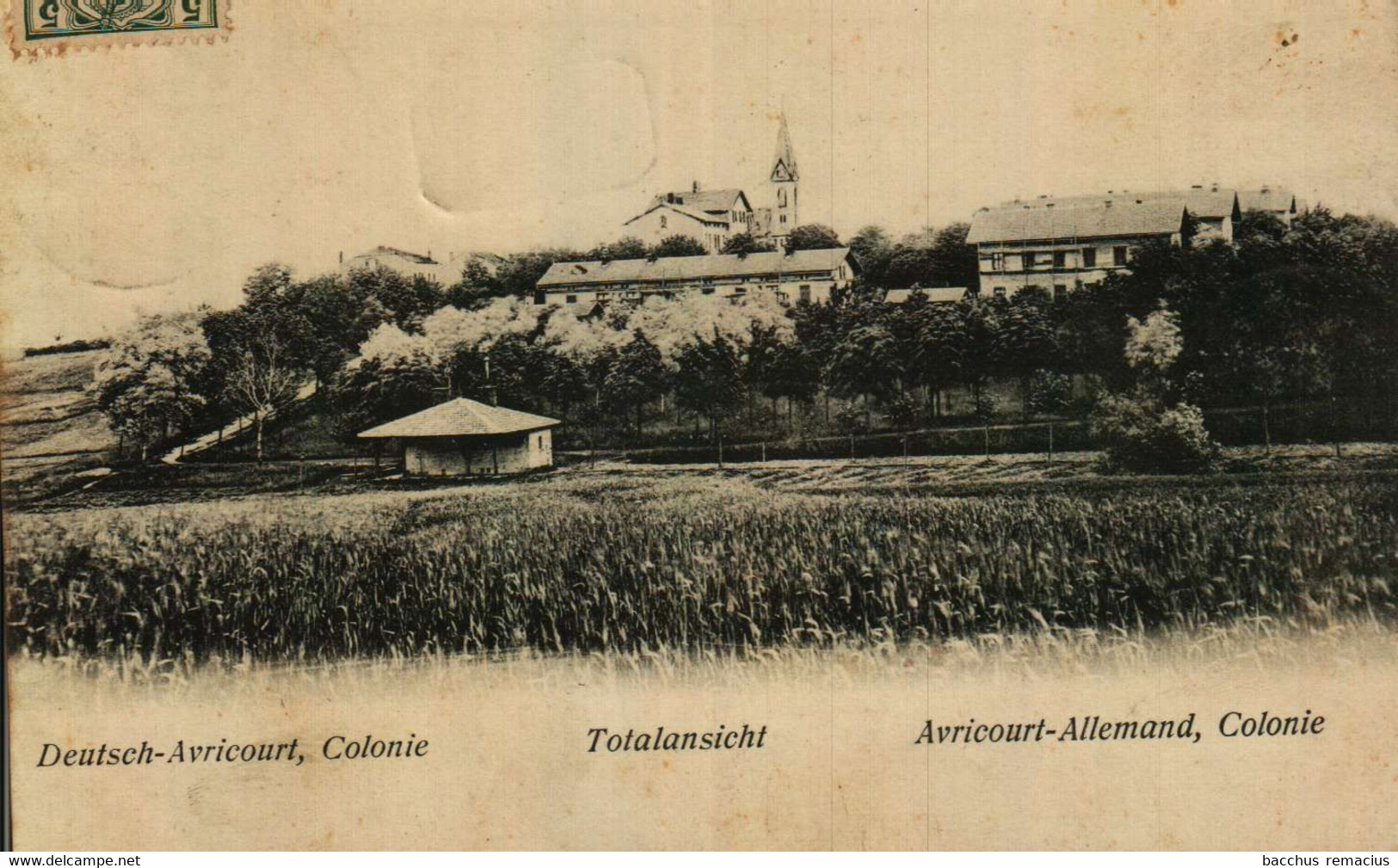 AVRICOURT DEUTSCH-AVRICOURT,Colonie Totalansicht AVRICOURT-ALLEMAND,Colonie  W.S.S. Str. - Sarrebourg