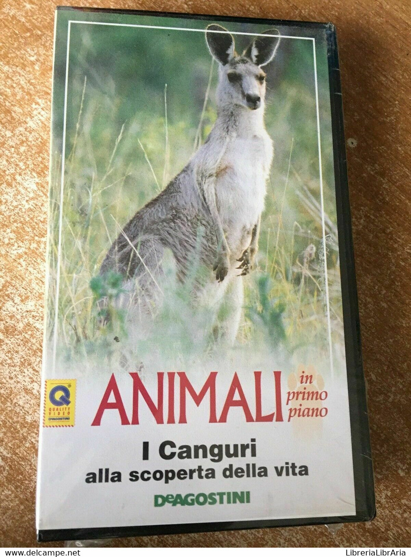 Animali In Primo Piano I Canguri Alla Scoperta Della Vita- Vhs-1995-DeAgostini-F - Lotti E Collezioni