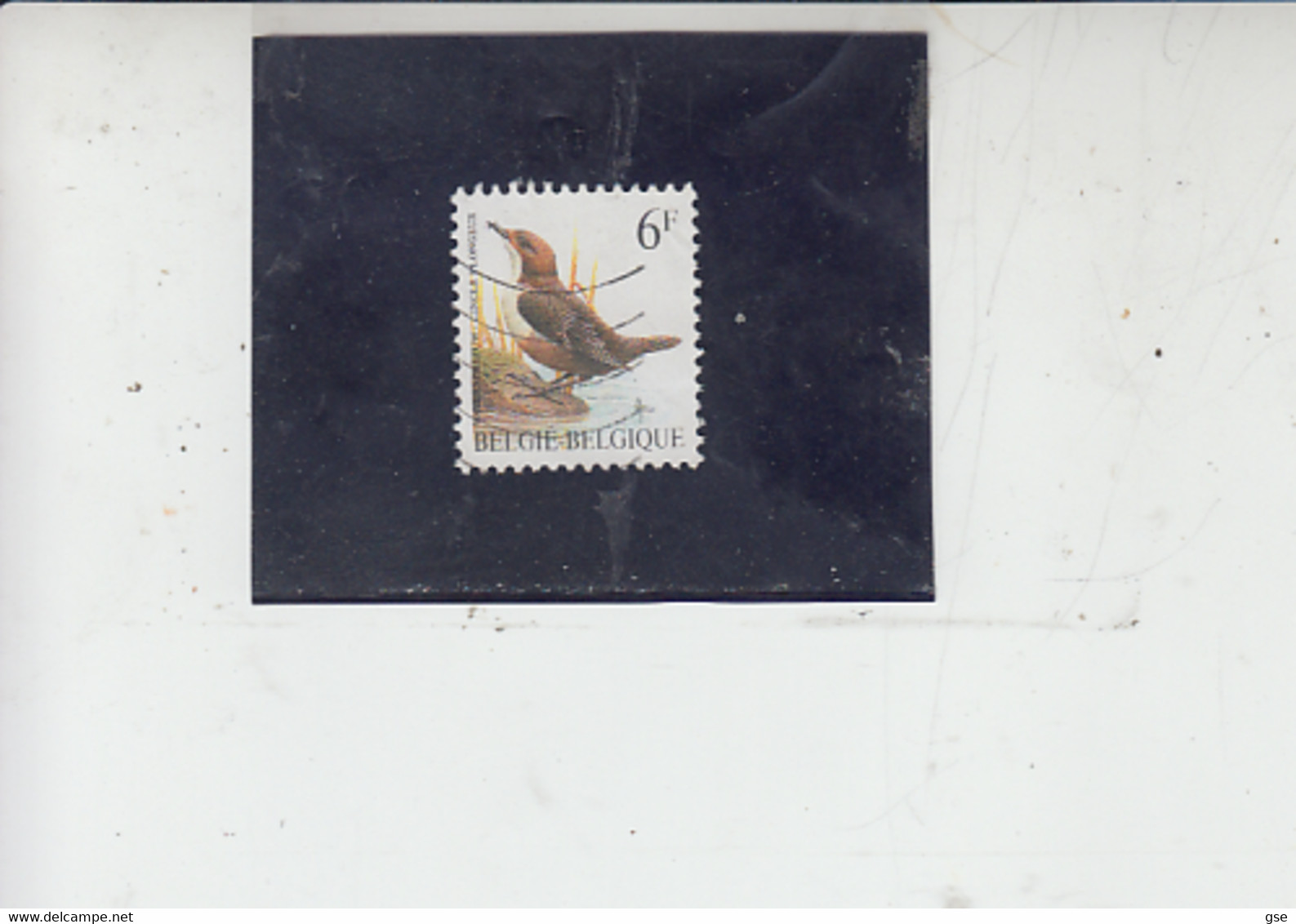 BELGIO   1992 - Unificato  2459° - Uccelli -.- - Sparrows