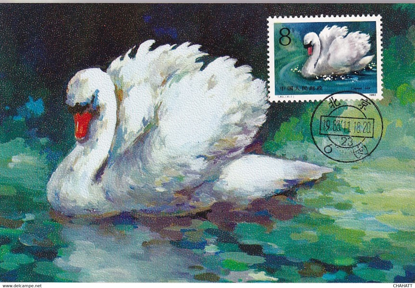BIRDS-SWANS- SET OF 4 MAXIMUM CARDS- PRC-MNH-BR2-33 - Cygnes