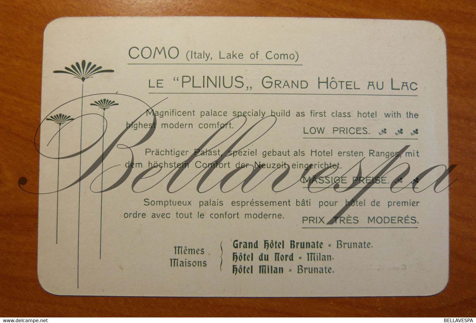 Italy. Como Le PLINIUS Grand Hotel Au Lac. Propr. Colleoni Direct. Rainoldi.  Carte De Visite PUB - Como