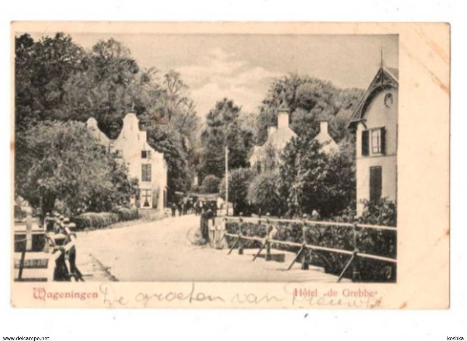 WAGENINGEN - Hôtel De Grebbe - Verzonden In 1903 - - Wageningen