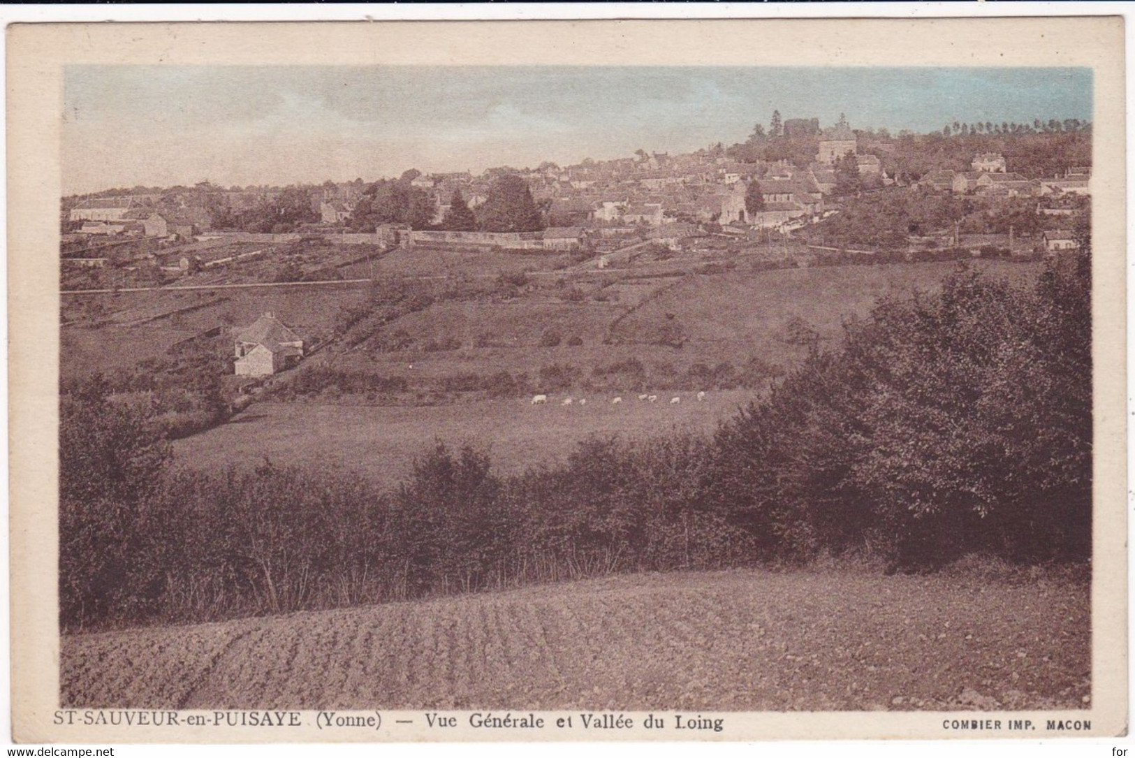 Yonne : SAINT SAUVEUR En PUISAYE :  Vue Générale Et Vallée Du Loing : Colorisée - Saint Sauveur En Puisaye