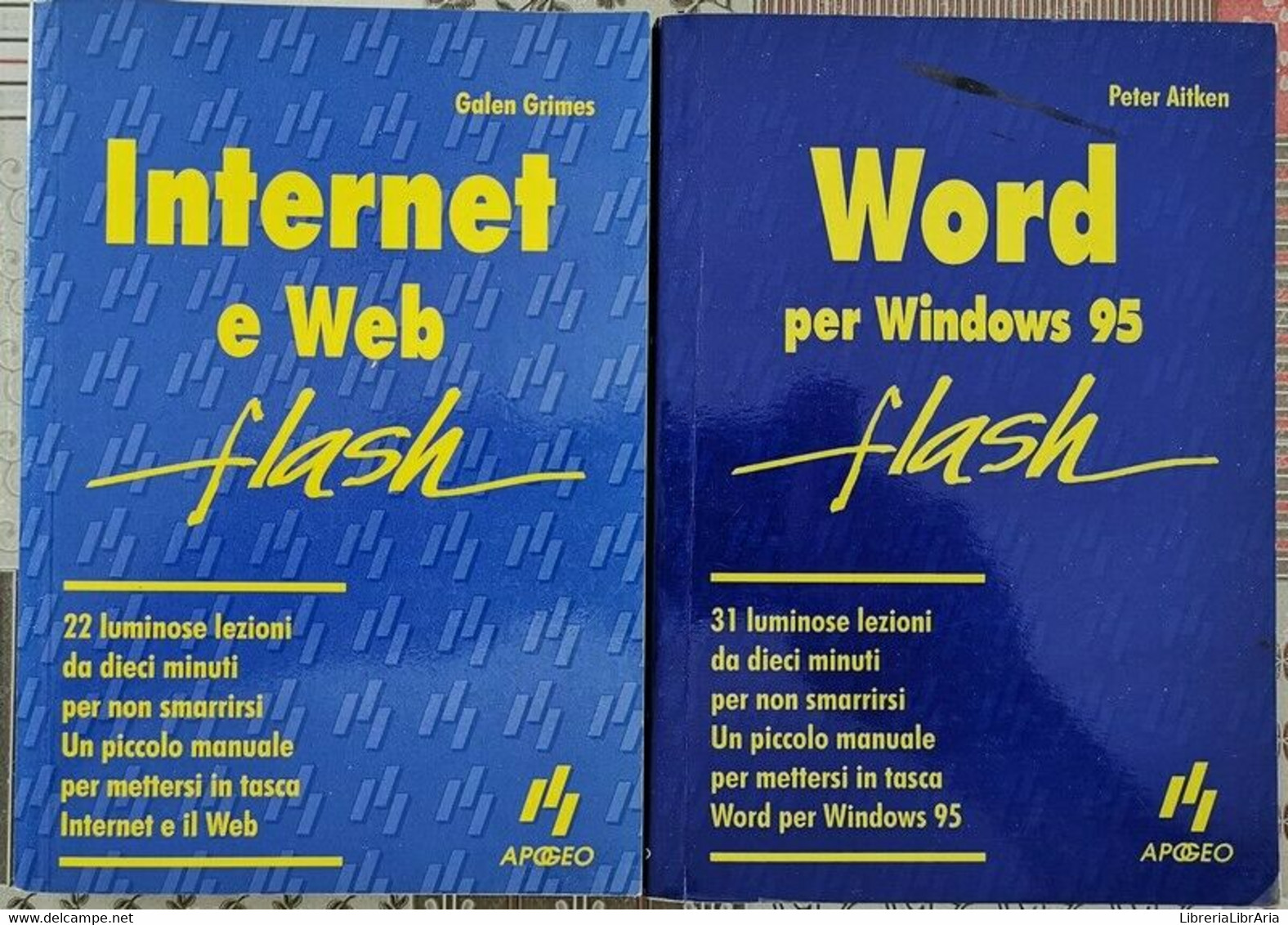 Internet E Web + Word Per Windows 95 -  ER - Informatica