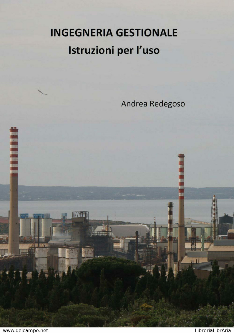 Ingegneria Gestionale - Istruzioni Per L’uso, Di Andrea Giovanni Redegoso,  2017 - Informatique