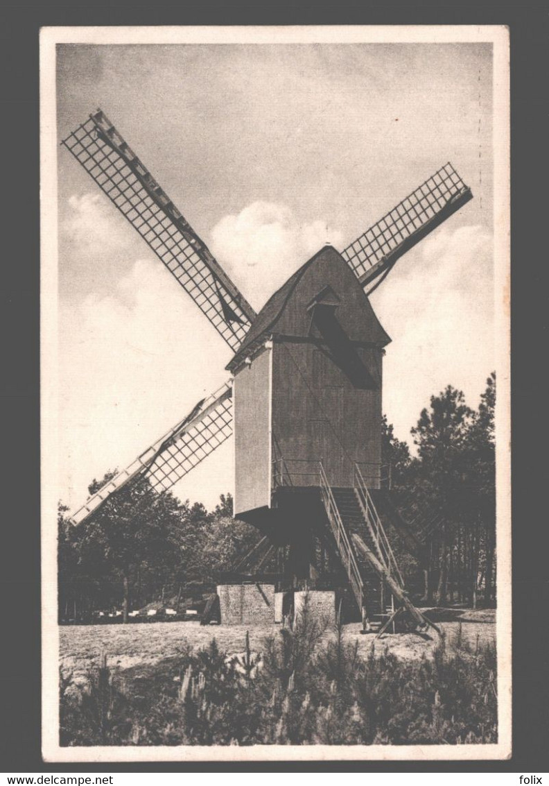 Kasterlee - Oude Standaardmolen - Moulin / Mill - Kasterlee