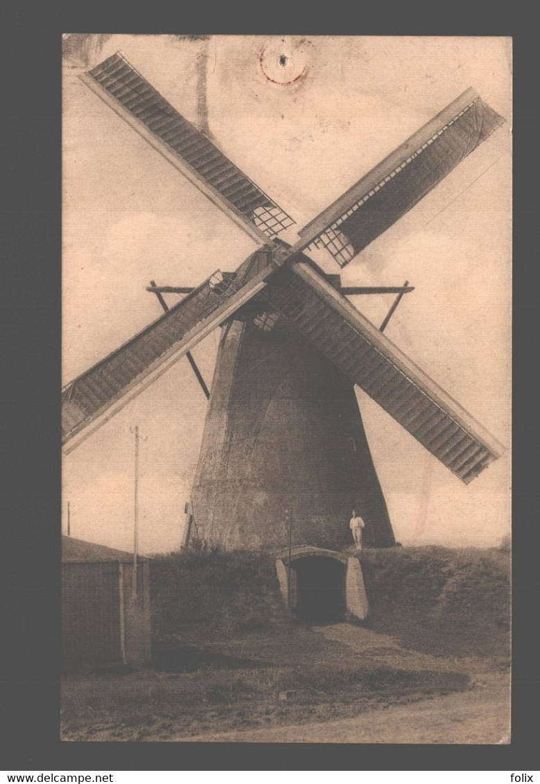 Kasterlee - Beermolen - Terloo - Moulin / Mill - Kasterlee