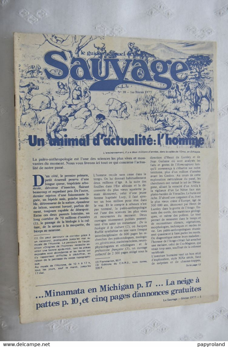 Revues  - Lot De  37 Revues  "Le Sauvage" - Editées Par Le Nouvel Observateur Ecologie - De 1973/80 - Hergé
