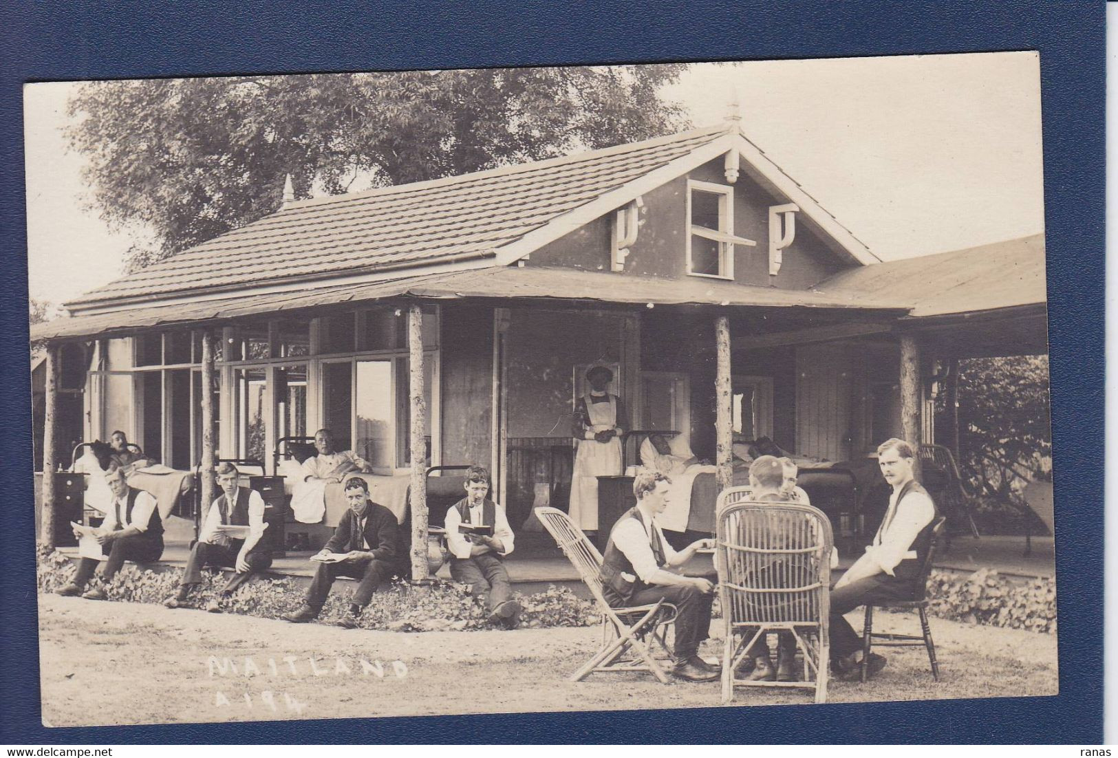 CPA Australie Maitland Carte Photo Non Circulé - Sonstige & Ohne Zuordnung