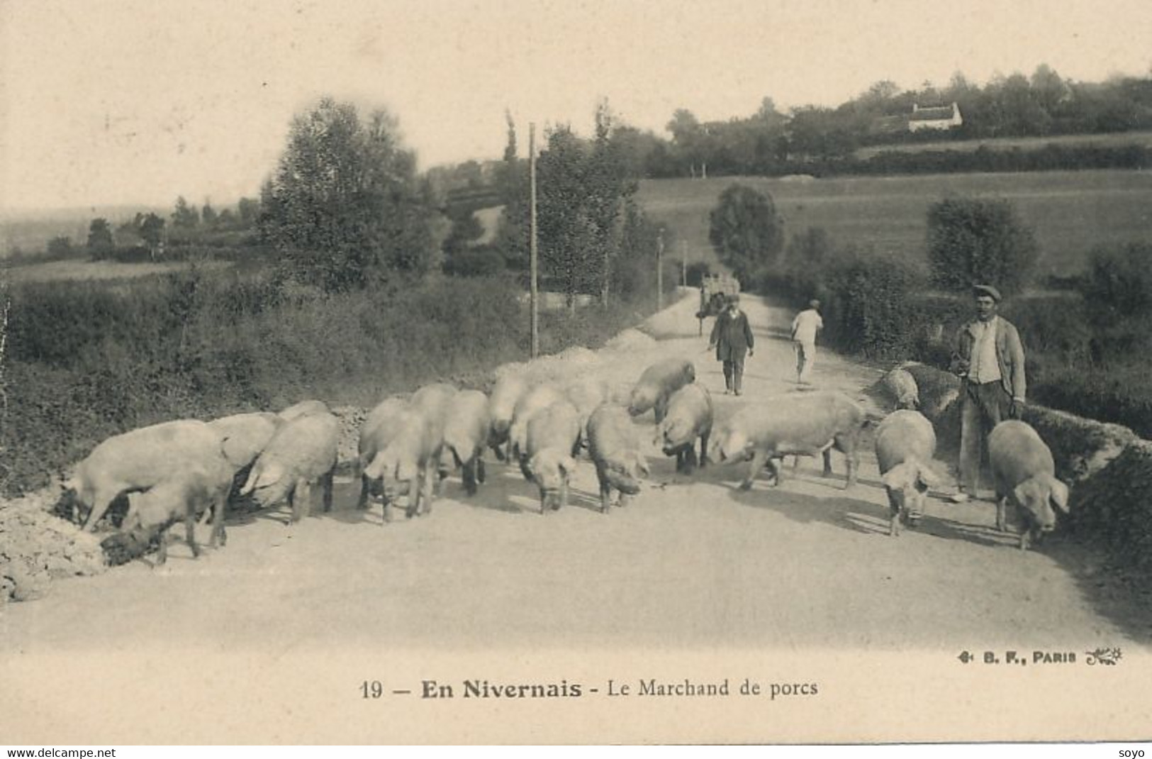 Le Marchand De Porcs En Nivernais . The Pig Seller . - Händler