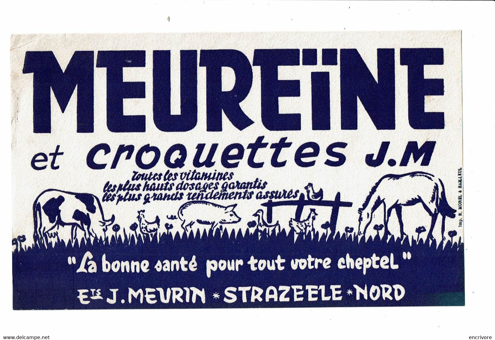 Buvard MEUREINE Et Croquettes J. M. Vache Cochon Porc Poule Cheval Canard J. Meurin Strazeele Nord - Animales