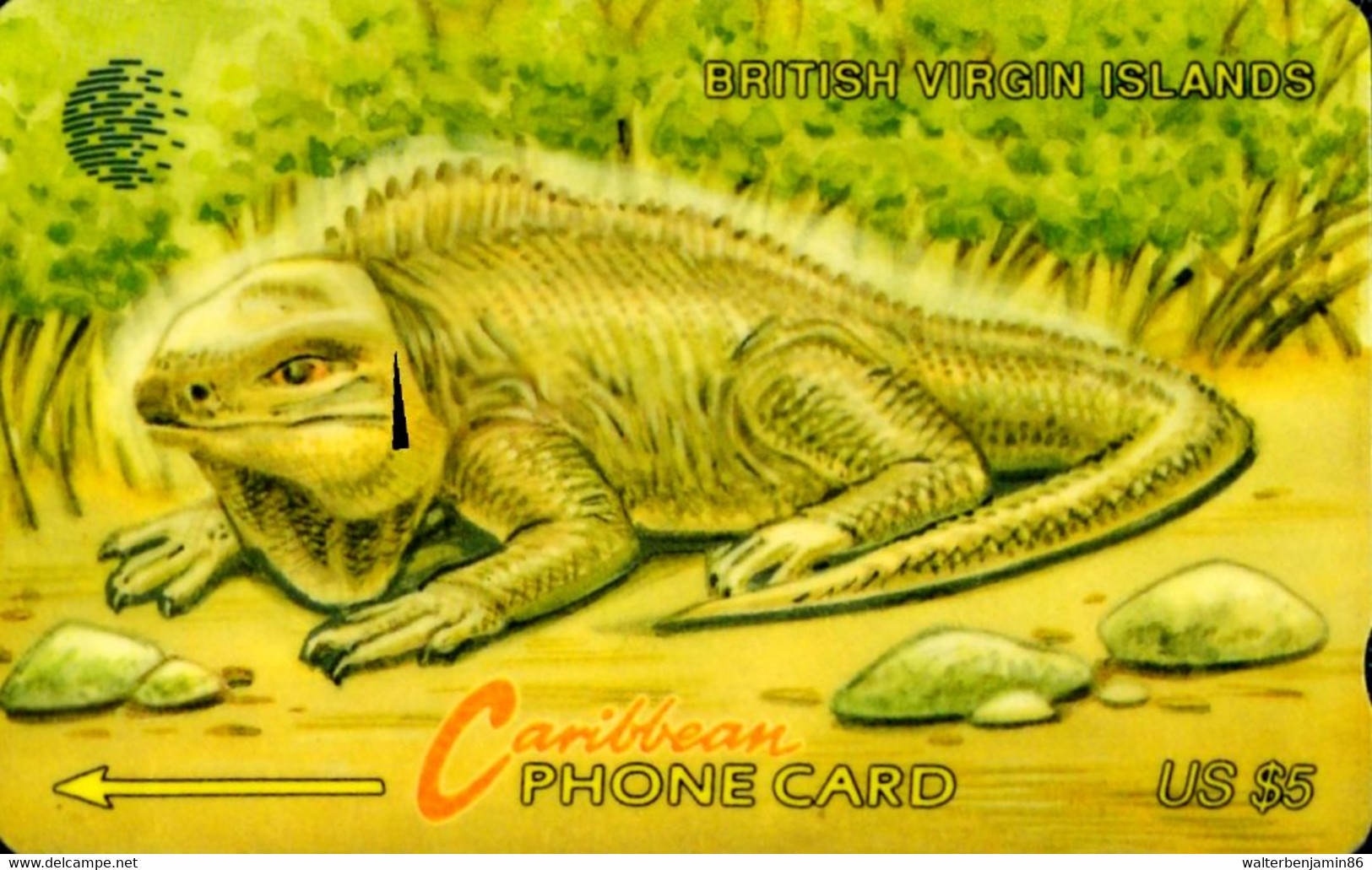 SCHEDA TELEFONICA PHONECARD BRITISH VIRGIN ISLANDS WILD LIFE IGUANA 19CBVA - Vierges (îles)