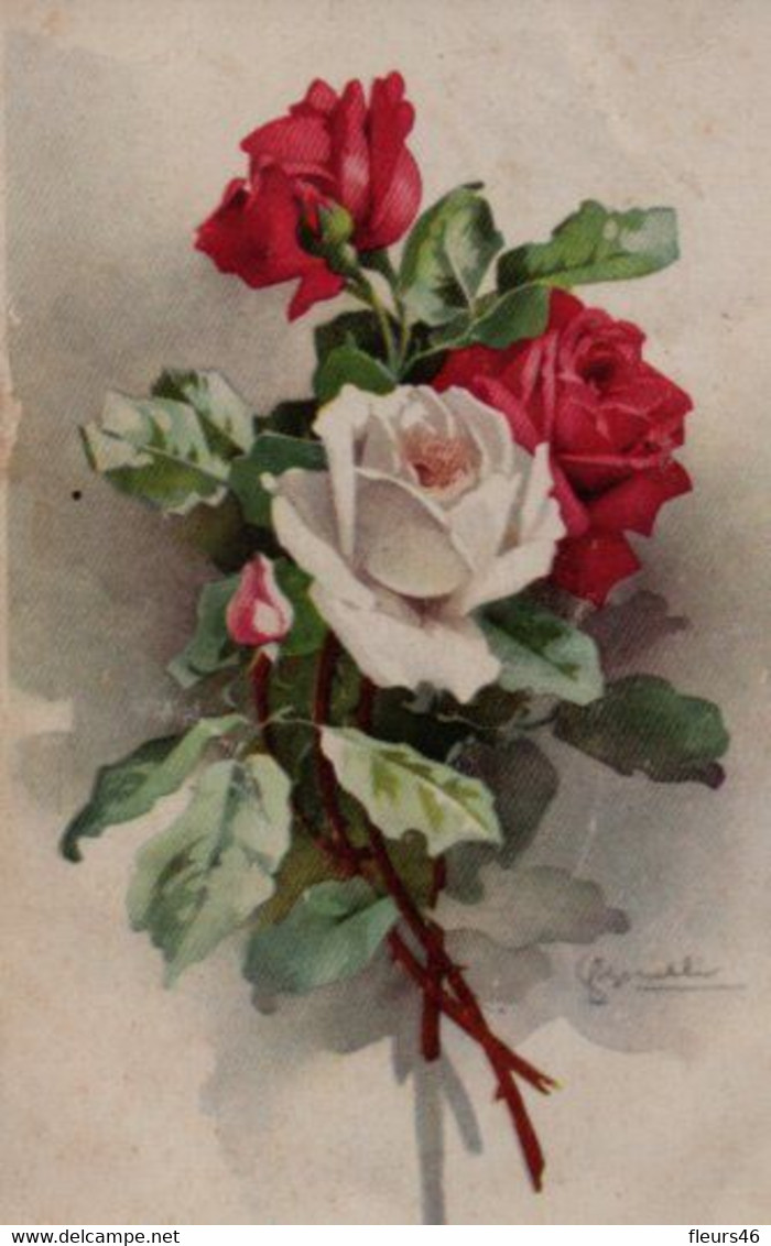 Illustrée  Signée BONELLI : Roses Rouges, Roses Blanches - Fiori