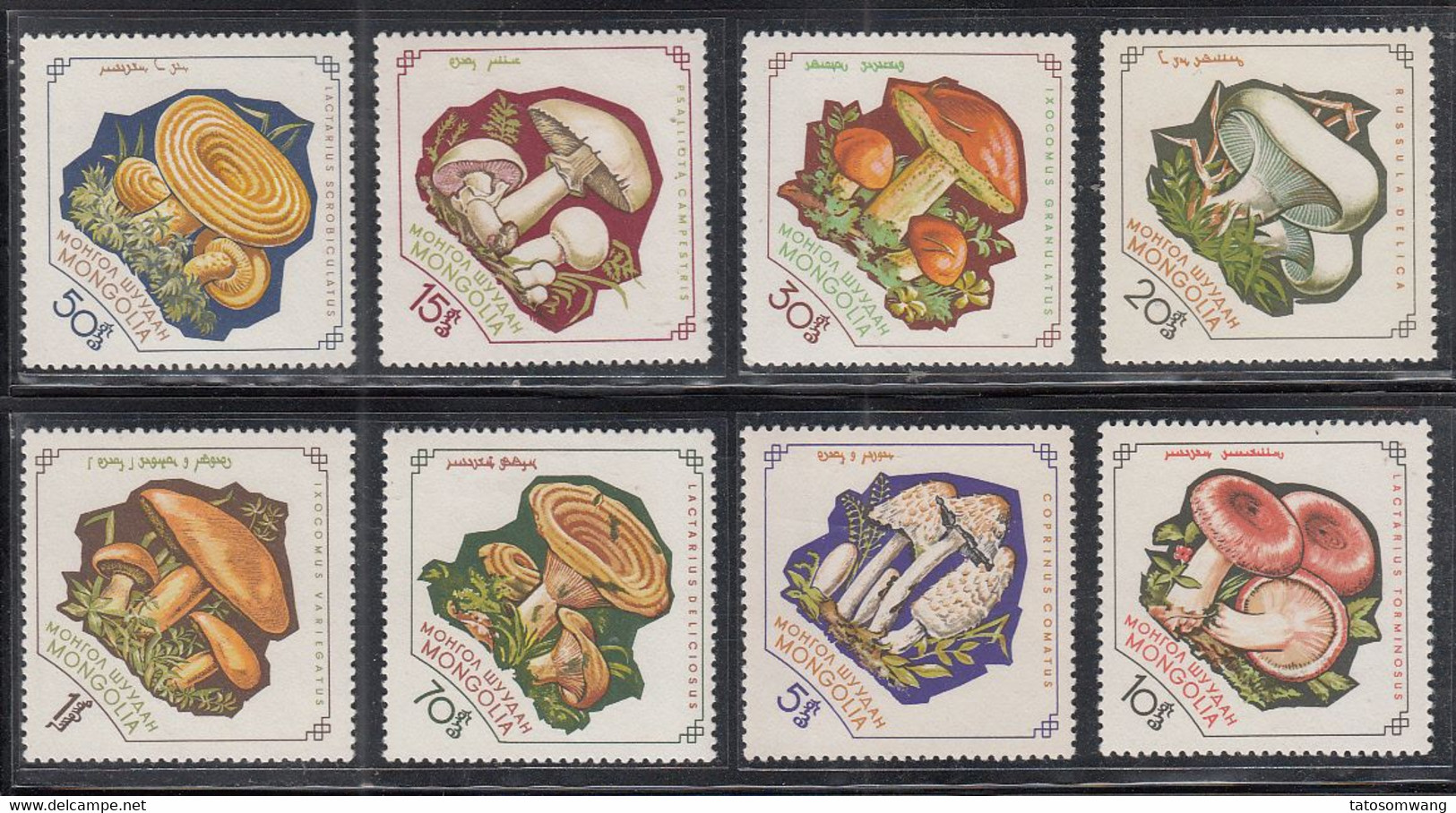 Mongolia - 1964 Fungi Set Of 8 Mnh - Paddestoelen