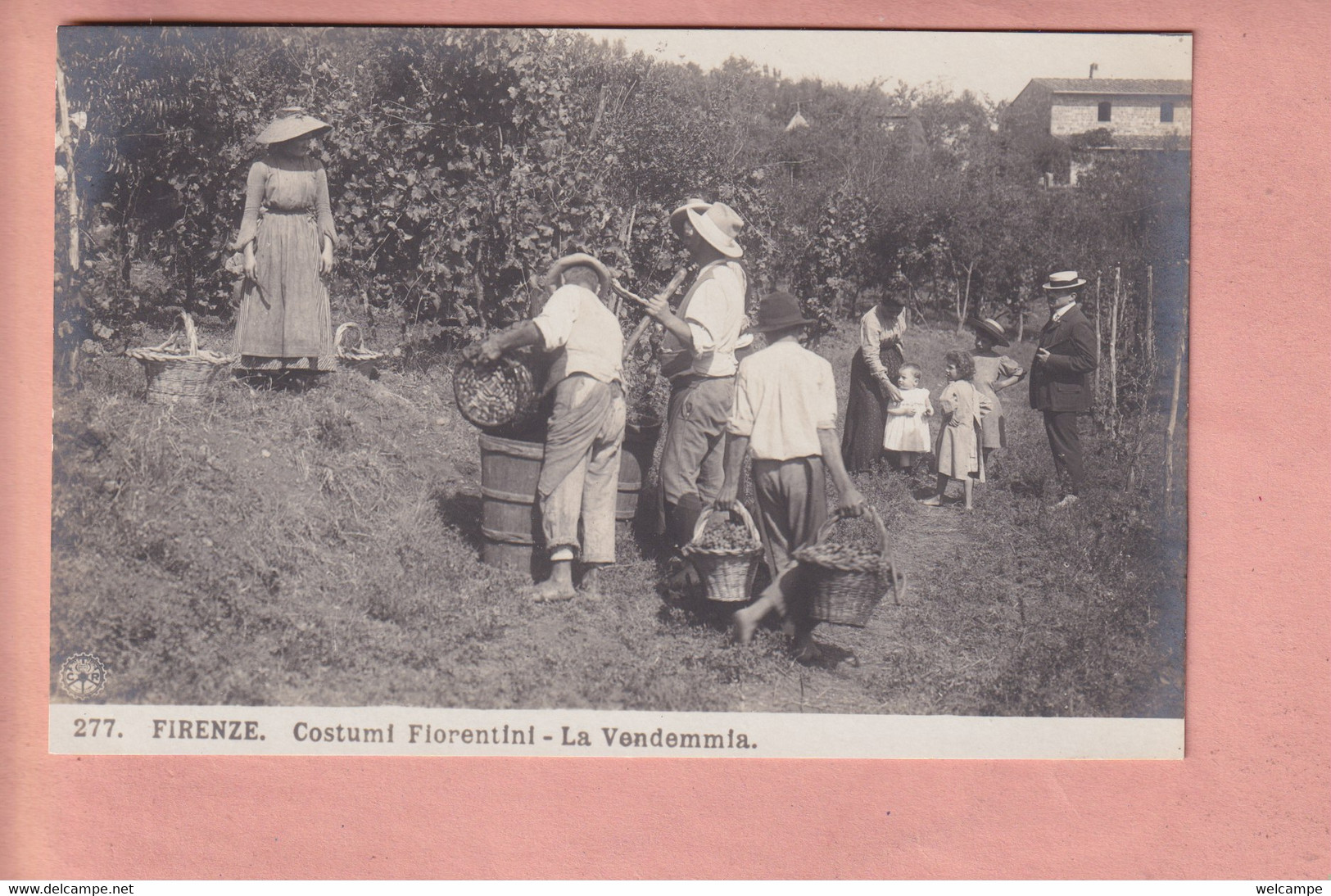 OLD POSTCARD  ITALY - ITALIA -   FIRENZE - WINE - LA VENDEMMIA - Firenze (Florence)