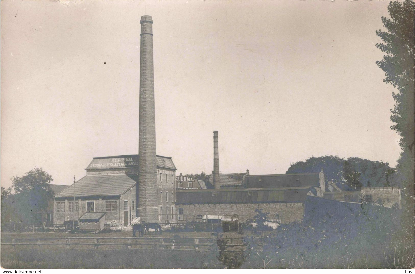 Hoogezand Martenshoek Oude Fotokaart Fabriek Schoorsteen 546 - Hoogezand