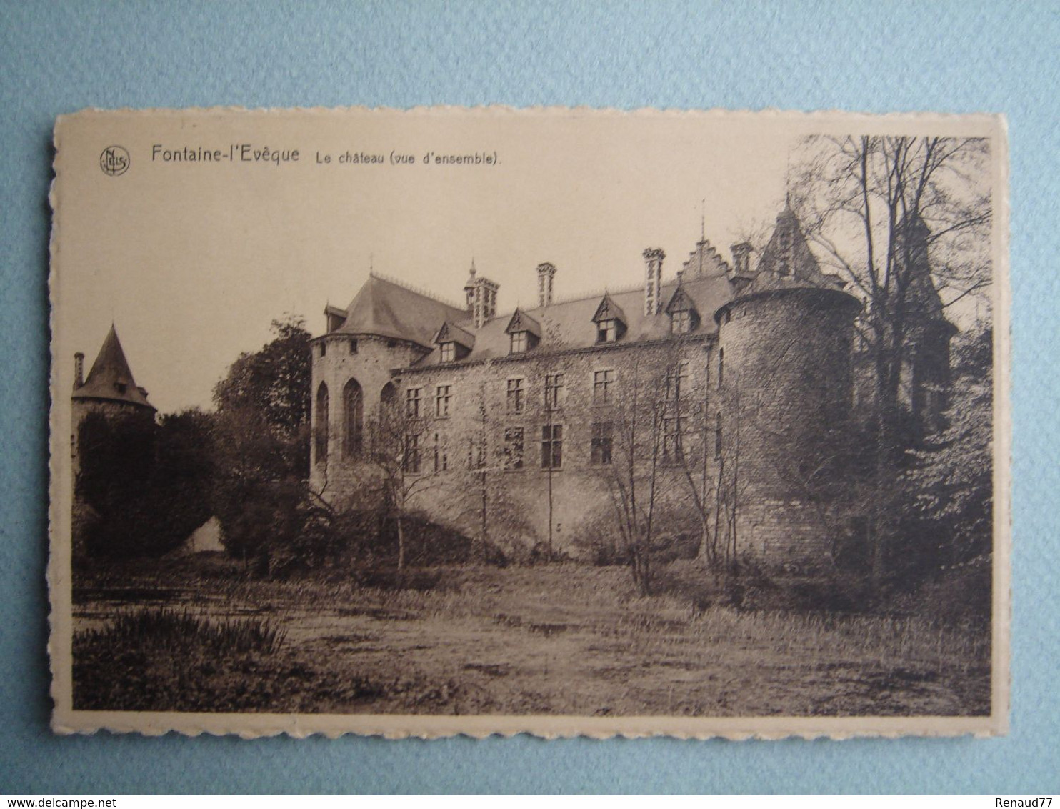Fontaine-l'Evêque - Le Château (vue D'ensemble) - Fontaine-l'Eveque