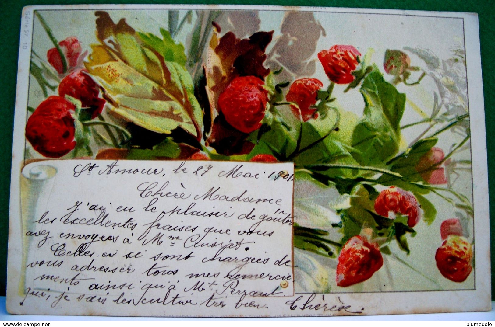 Cpa  Précurseur  FRUITS . FRAISIER . FRAISES . 1901 . STRAWBERRIES AND STRAWBERRY PLANT  EARLY PC - Plantes Médicinales