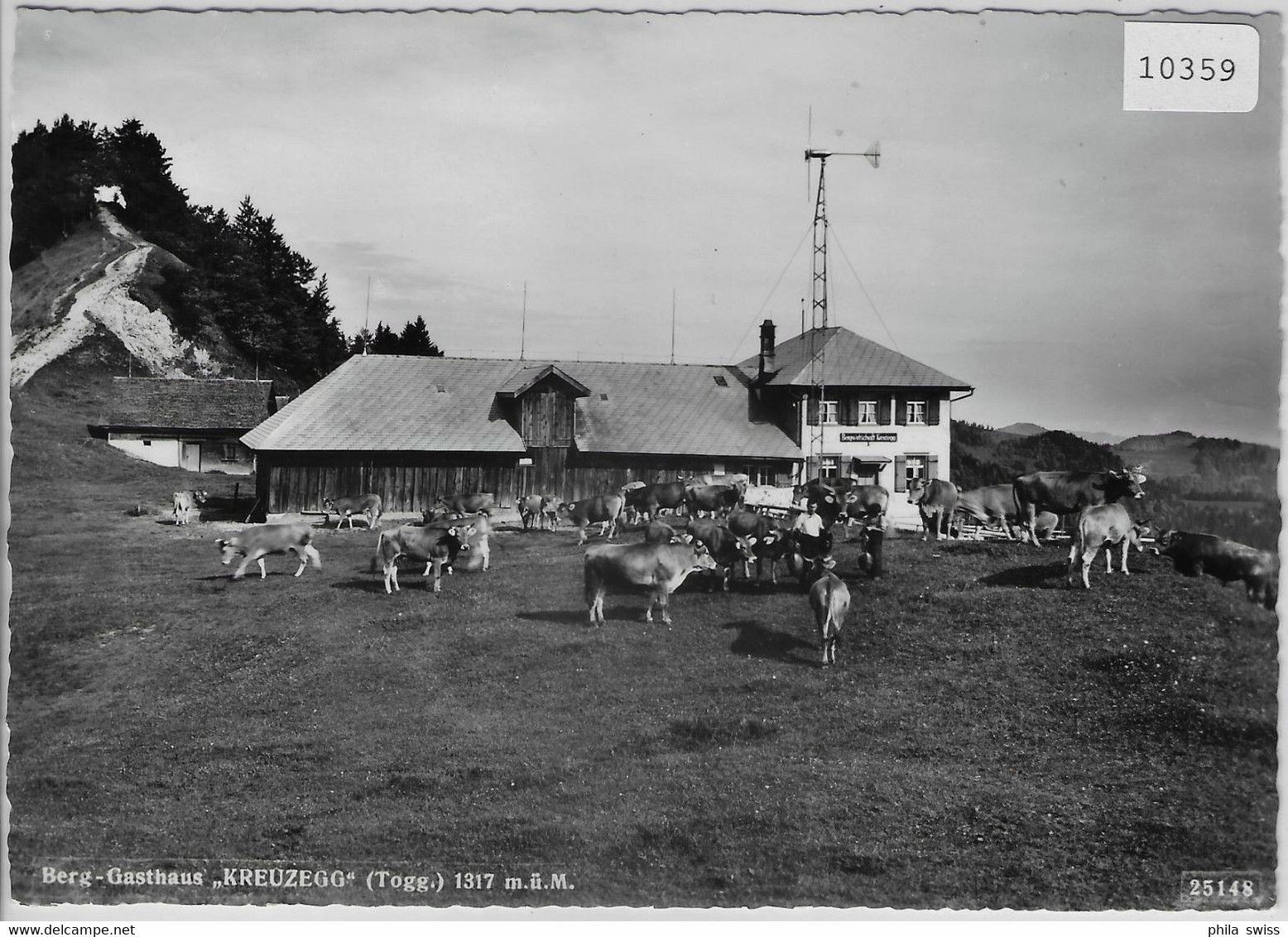 Berg-Gasthaus Kreuzegg - Wattwil - Kuhherde Vaches Cows - Wattwil