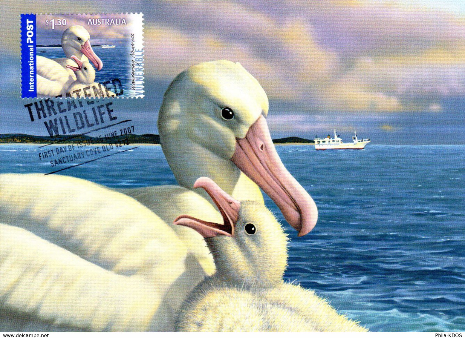 &#9989;  " ALBATROS " Sur Carte Maximum Et PAP Neuf D'Australie De 2007. Parfait état. CM - Marine Web-footed Birds