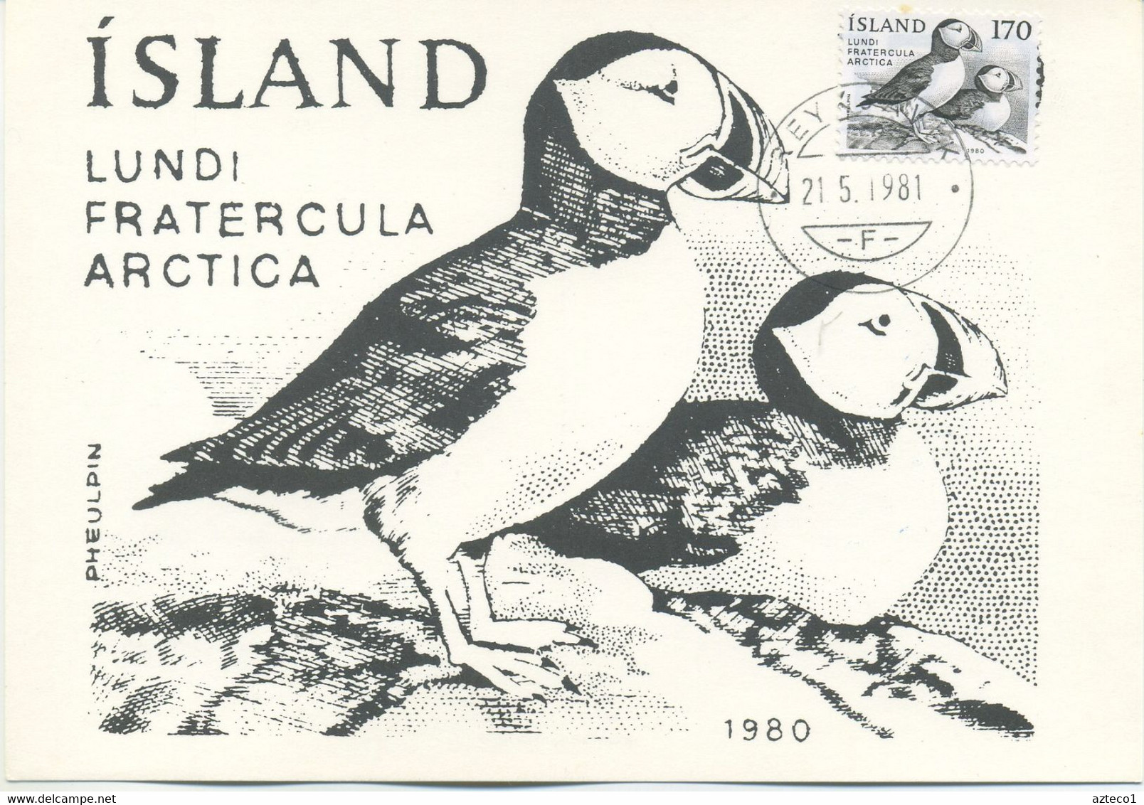 ISLANDA  - MAXIMUM CARD  1981 - FRATERCULA ARTICA - WIPA 1981 - SPECIAL CANCEL - Tarjetas – Máxima