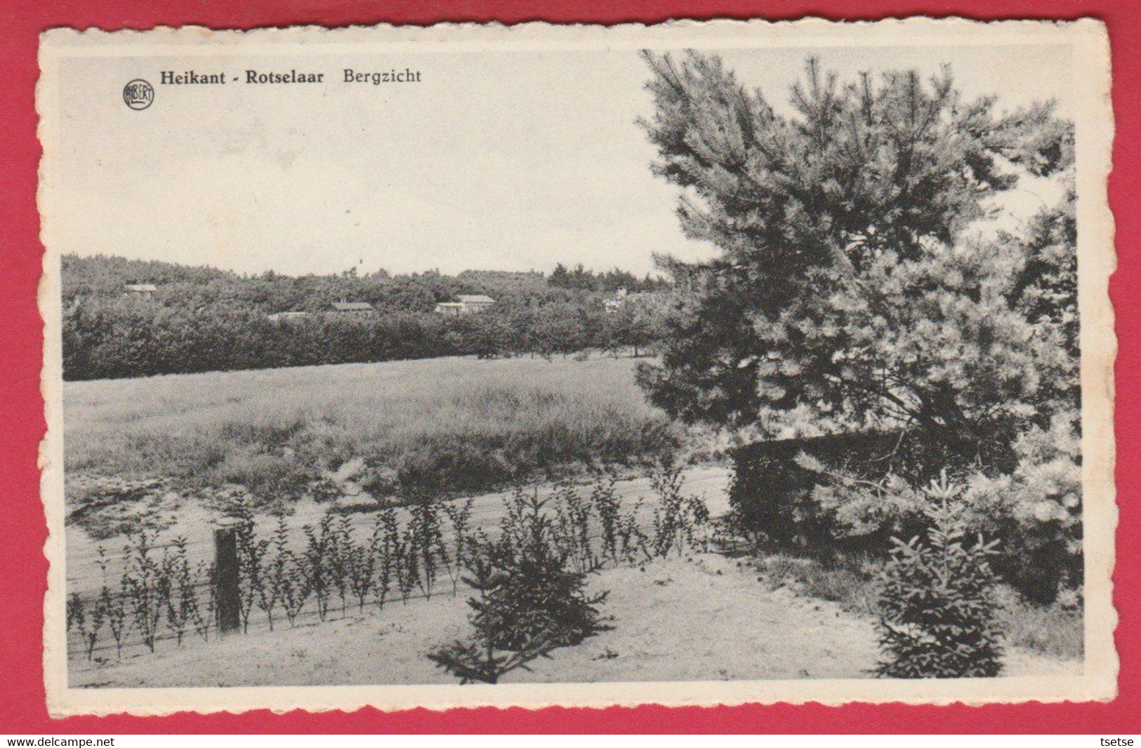 Heikant - Rotselaar - Bergzicht - 1958 ( Verso Zien ) - Rotselaar