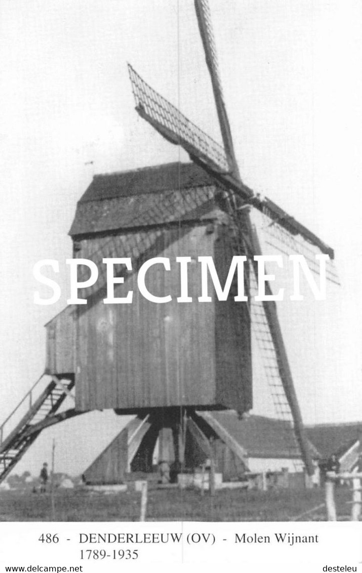 Molen Wijnant - Denderleeuw - Denderleeuw