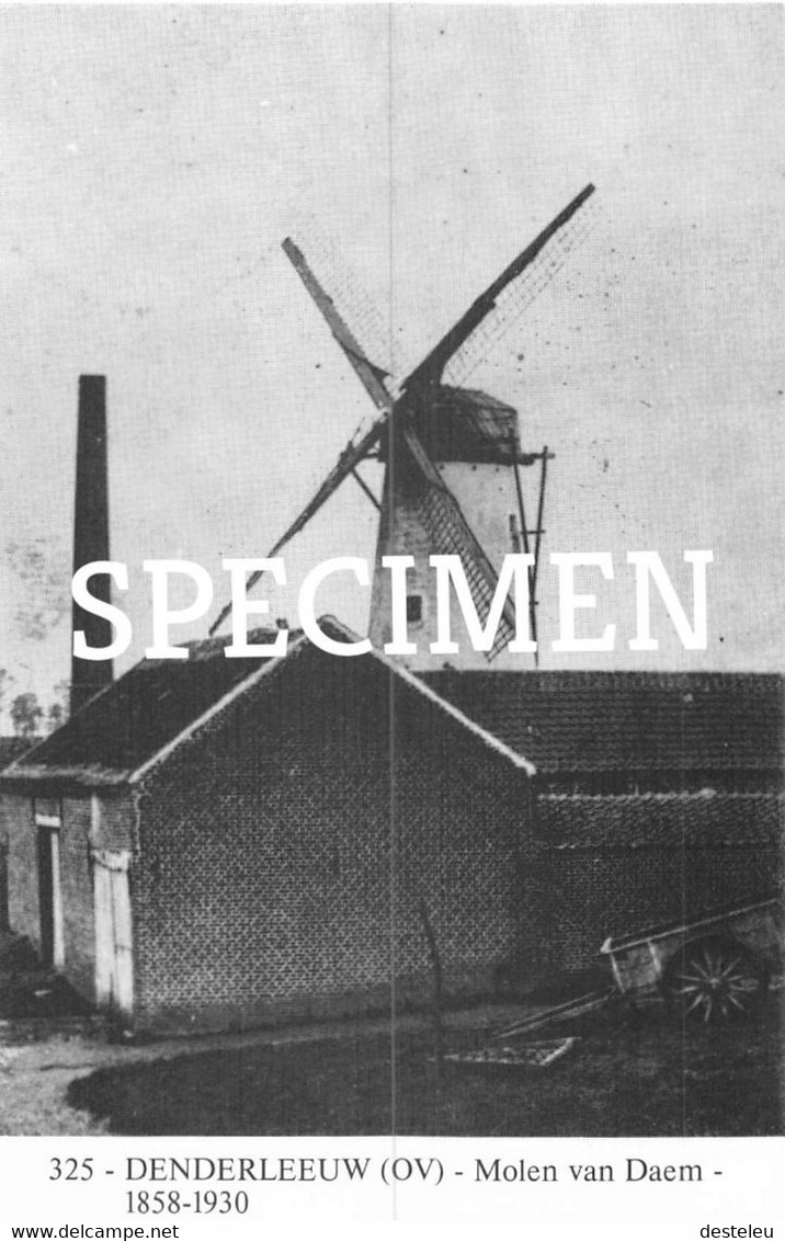 Molen Van Daem - Denderleeuw - Denderleeuw