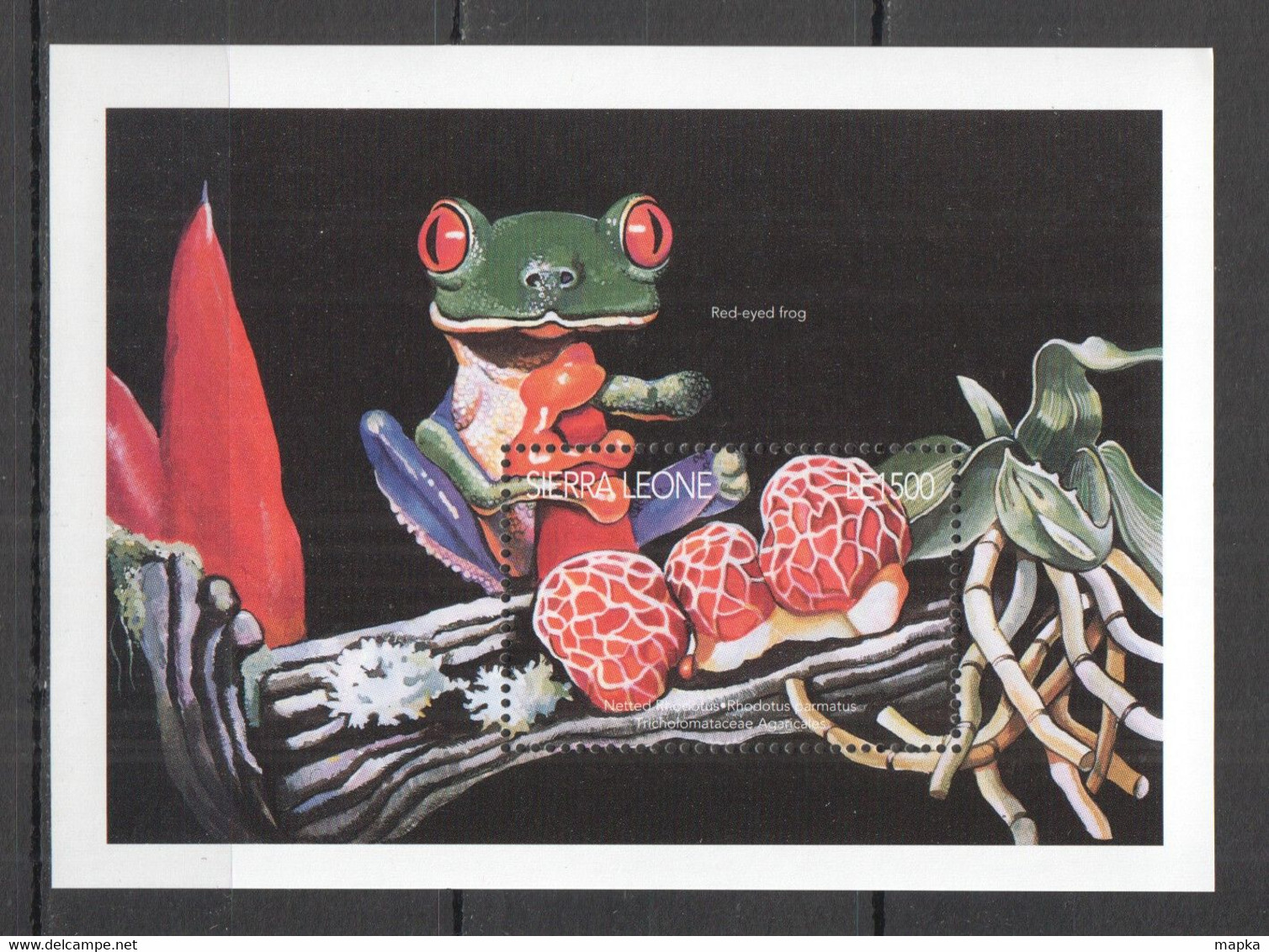 BB610 SIERRA LEONE MUSHROOMS NATURE FLORA & FAUNA REPTILES FROGS 1BL MNH - Pilze