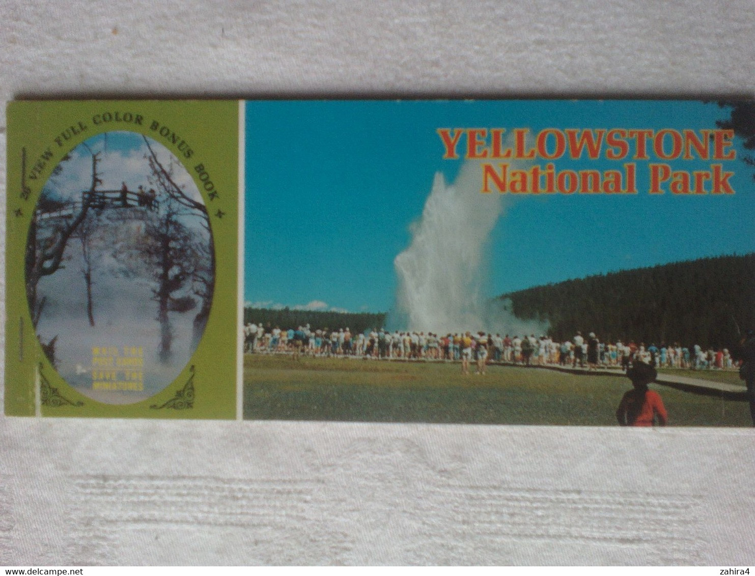 Yellowstone National Park - Carbonate Calcium - Geyser - Grand Canyon - Old Faithful - Castle Geyser - Ours Black Bear C - Yellowstone