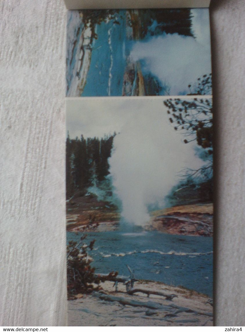 Yellowstone National Park - Carbonate Calcium - Geyser - Grand Canyon - Old Faithful - Castle Geyser - Ours Black Bear C - Yellowstone