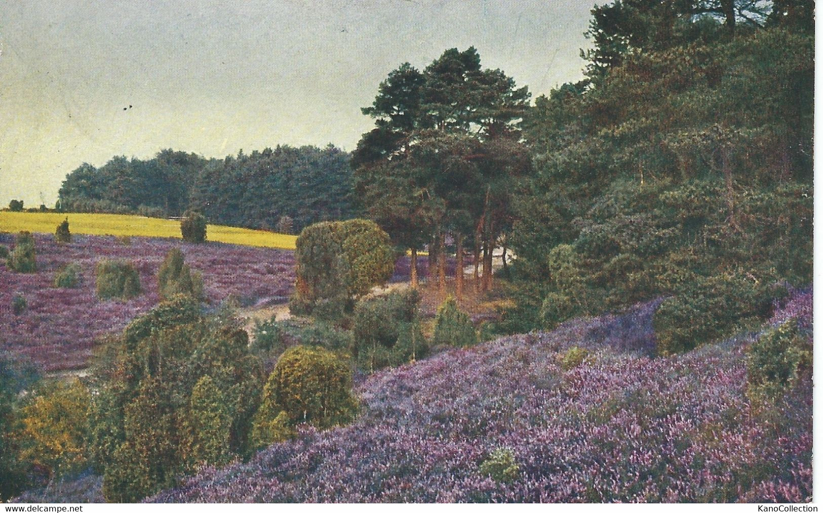 Lüneburger Heide, "Invalidendank Wohlfahrtskarte", Gelaufen 1917 - Lüneburger Heide