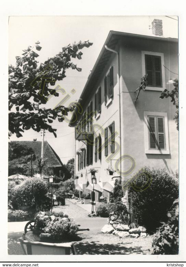 Angnon-Talloires - Hotel Ma Campagna [AA50-4.860 - Altri & Non Classificati