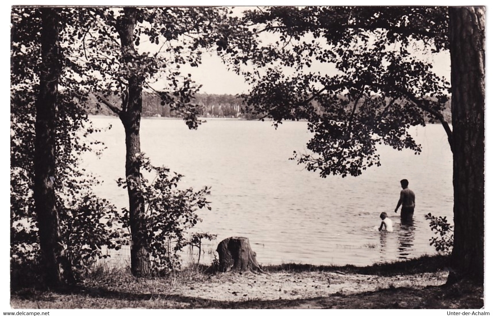 Der Störitzsee - Gemeinde Grünheide (Mark) Im Landkreis Oder-Spree ~ 1967 - Gruenheide