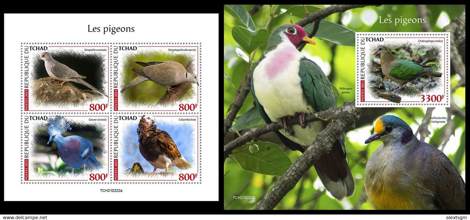 CHAD 2021 - Pigeons, M/S + S/S. Official Issue [TCH210222] - Other & Unclassified