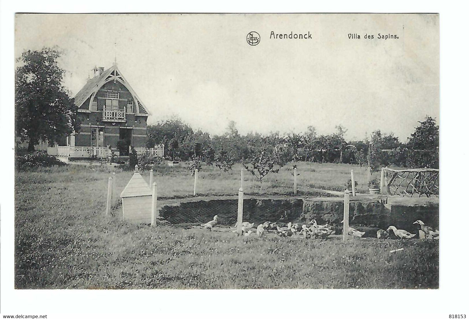 Arendonk  Arendonck  Villa Des Sapins 1920 - Arendonk