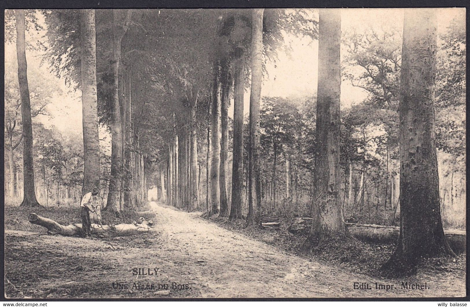 +++ CPA - SILLY - Une Allée Du Bois  // - Silly