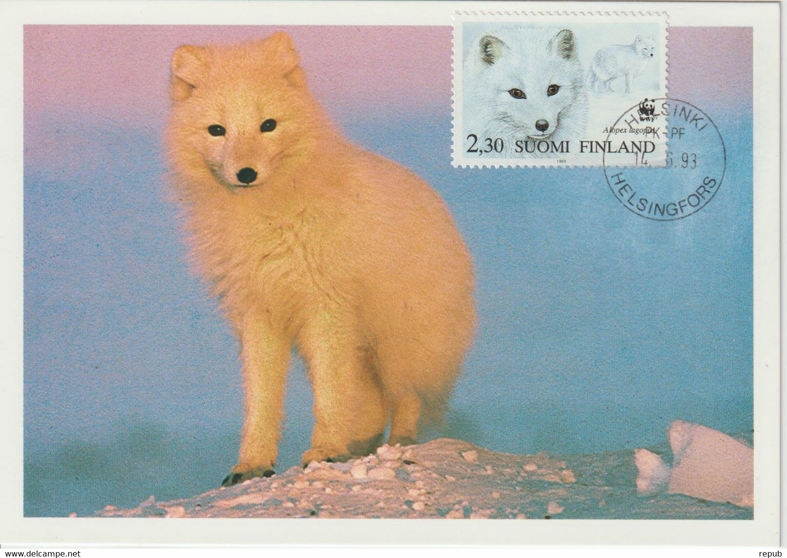 Finlande Carte Maximum 1993 Renard Arctique 1167 - Maximumkarten (MC)