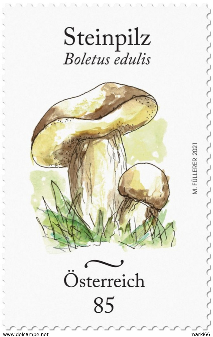 Austria - 2021 - Penny Bun Mushroom - Boletus Edulis - Mint Stamp - Unused Stamps