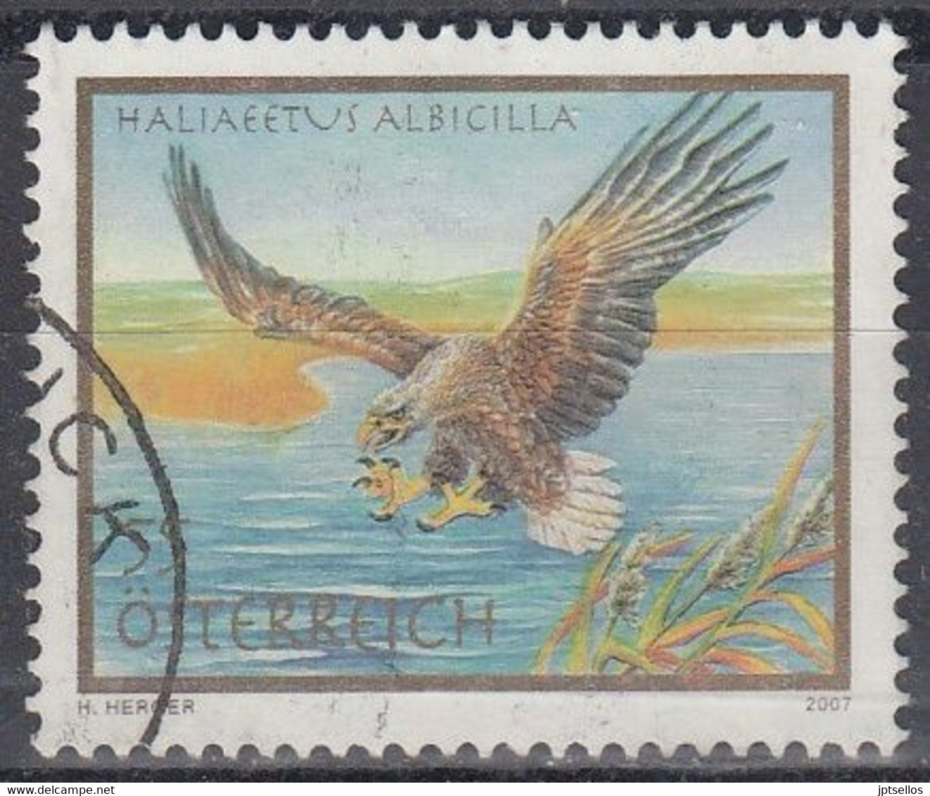 AUSTRIA  2007 YVERT Nº 2510 USADO - Used Stamps