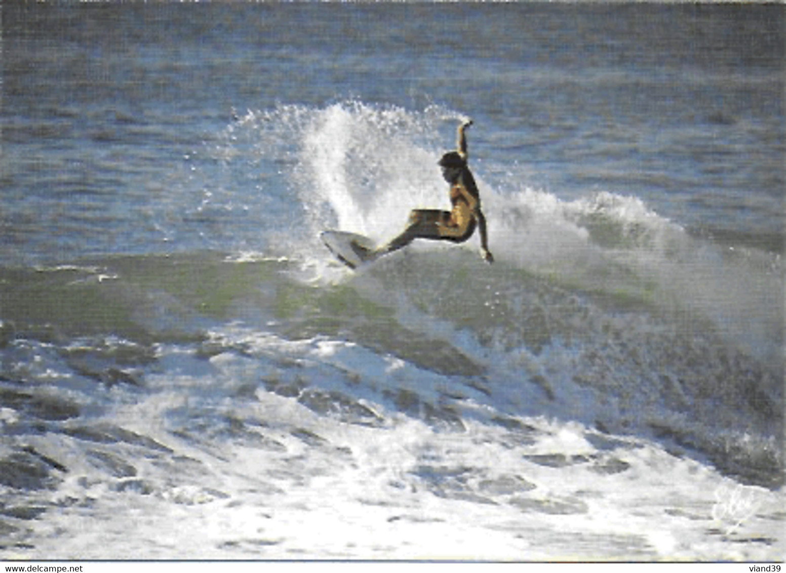 Surf Sur Une Grosse Vague En Cote Atlantique. - - Ski Náutico