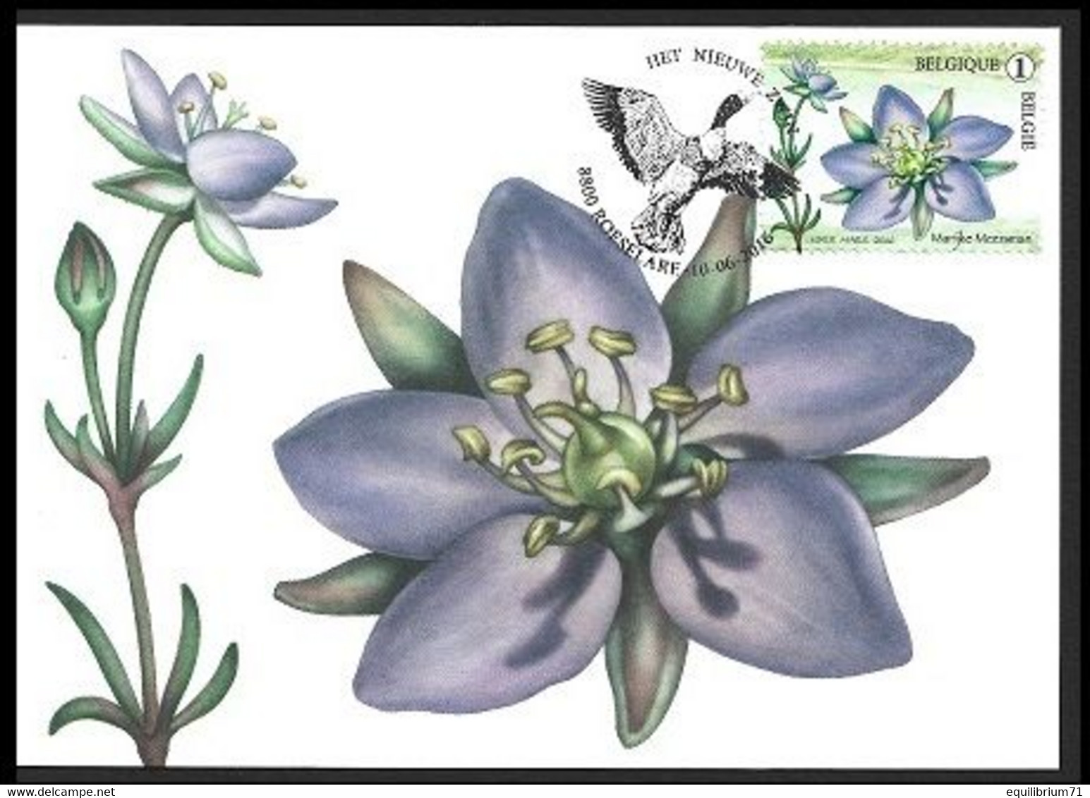 4606/4610° - CP Fleurs Le Nouveau Zwin /  PK Bloemen Het Nieuwe Zwin - Marijke Meersman - Roeselare FDC: 10-06-2016 - 2011-..